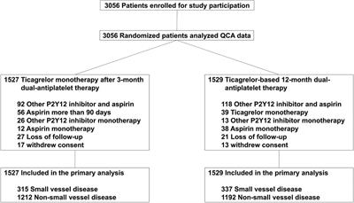 Clinical implication of ticagrelor monotherapy in patients with small vessel coronary artery disease: results from the TICO randomized trial